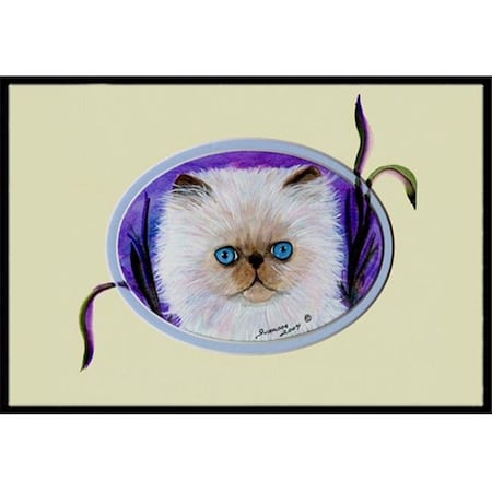 Carolines Treasures Carolines Treasures SS8020JMAT Cat Indoor Or Outdoor Doormat - 24 x 36 in. SS8020JMAT